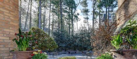 Terrein van de accommodatie