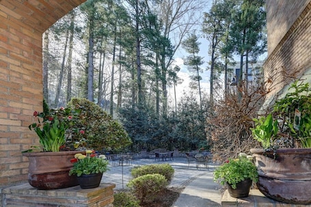 Unterkunftsgelände. Historic Biltmore Village Retreat | 2 King En-Suites | Fireplace | Pets Welcome
