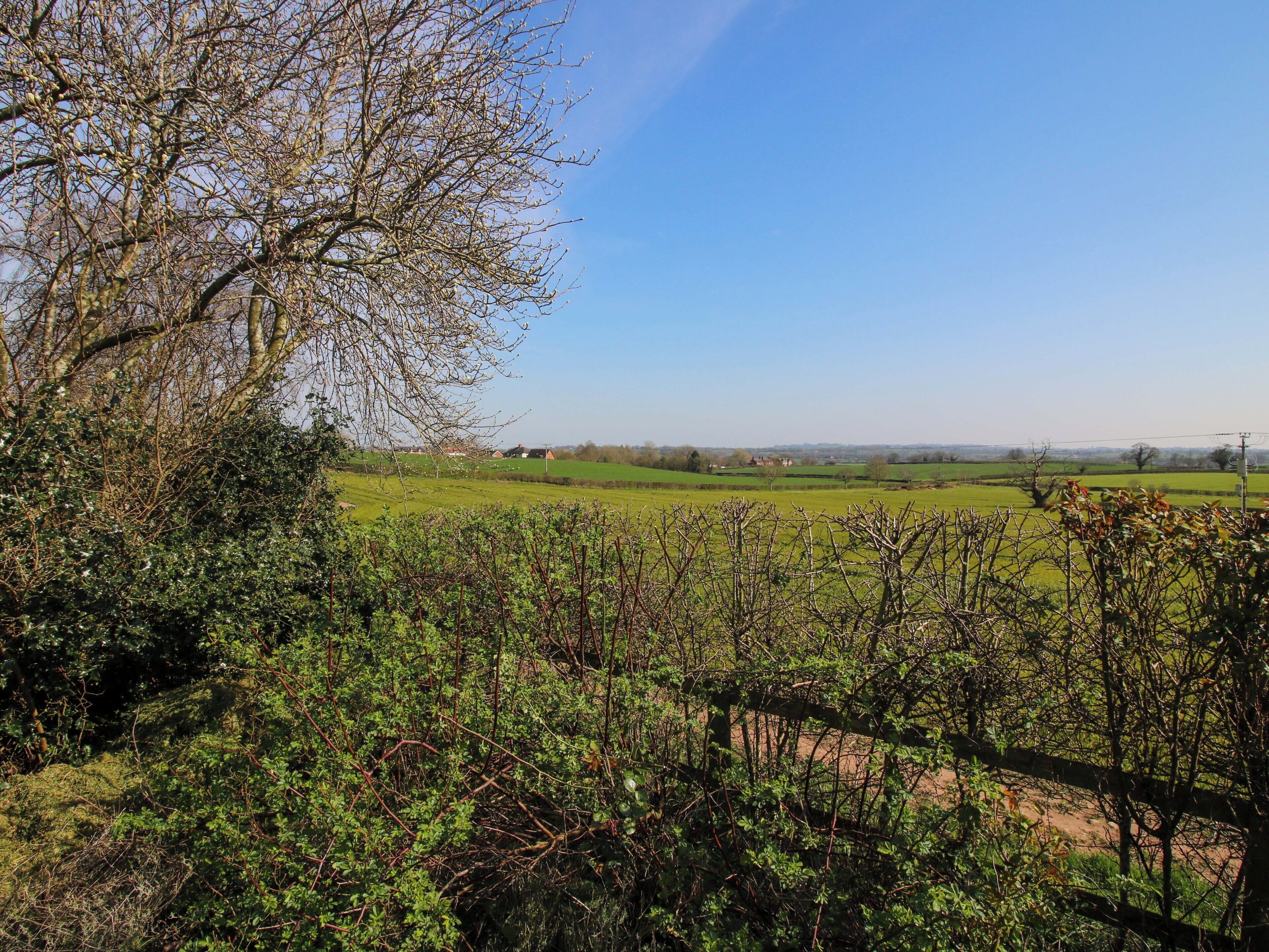 A rural landscape with a clear sky, a tree-lined path, and a distant view of houses.