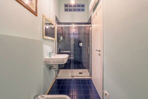 Regadera, secadora de cabello, bidet, toallas 