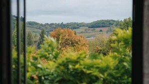 Blick durch ein Fenster auf einen roten Stuhl und Tisch, umgeben von Grünpflanzen.