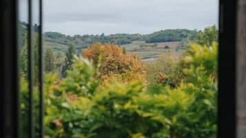 Deluxe Double Room, Balcony, Vineyard View | Interior