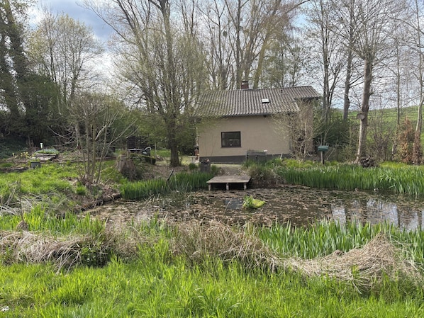 A house with a tiled roof, surrounded by a pond and dense vegetation.
