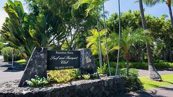 Condo, Multiple Beds (KKSR#4303 Direct Oceanfront, Top Floo) | Property grounds