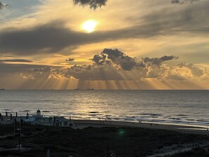 Beach - Huisje bij Zee 59 (free parking) (Noordwijk)