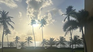 A grassy area with palm trees and a view of the ocean. - Room-mediterranean Caribbean View Villag (Humacao)