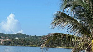 A coastal view with a palm tree, clear sky, and distant buildings. - Room-mediterranean Caribbean View Villag (Humacao)
