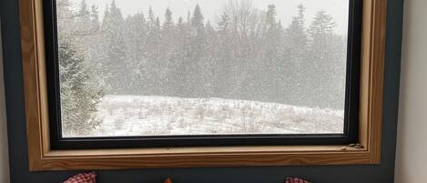 منطقة المعيشة