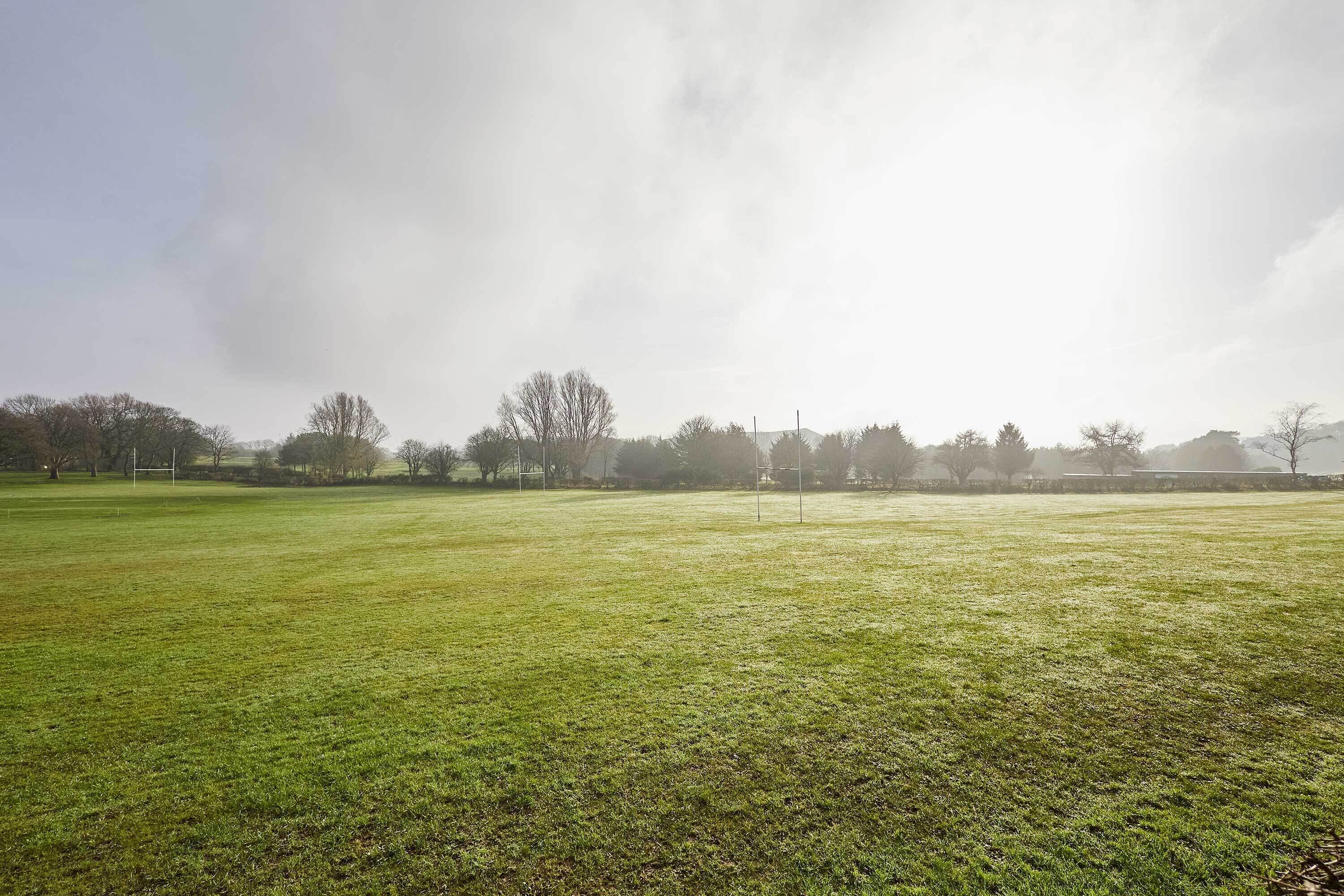 A grassy field with trees and a cloudy sky.