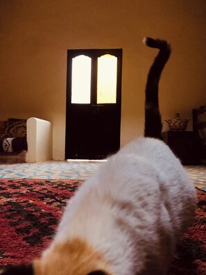 Interior - Kasbah berbère Ouriz (Tansifte)
