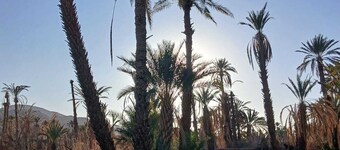 Kasbah berbère Ouriz