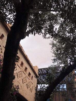 Exterior detail - Kasbah berbère Ouriz (Tansifte)