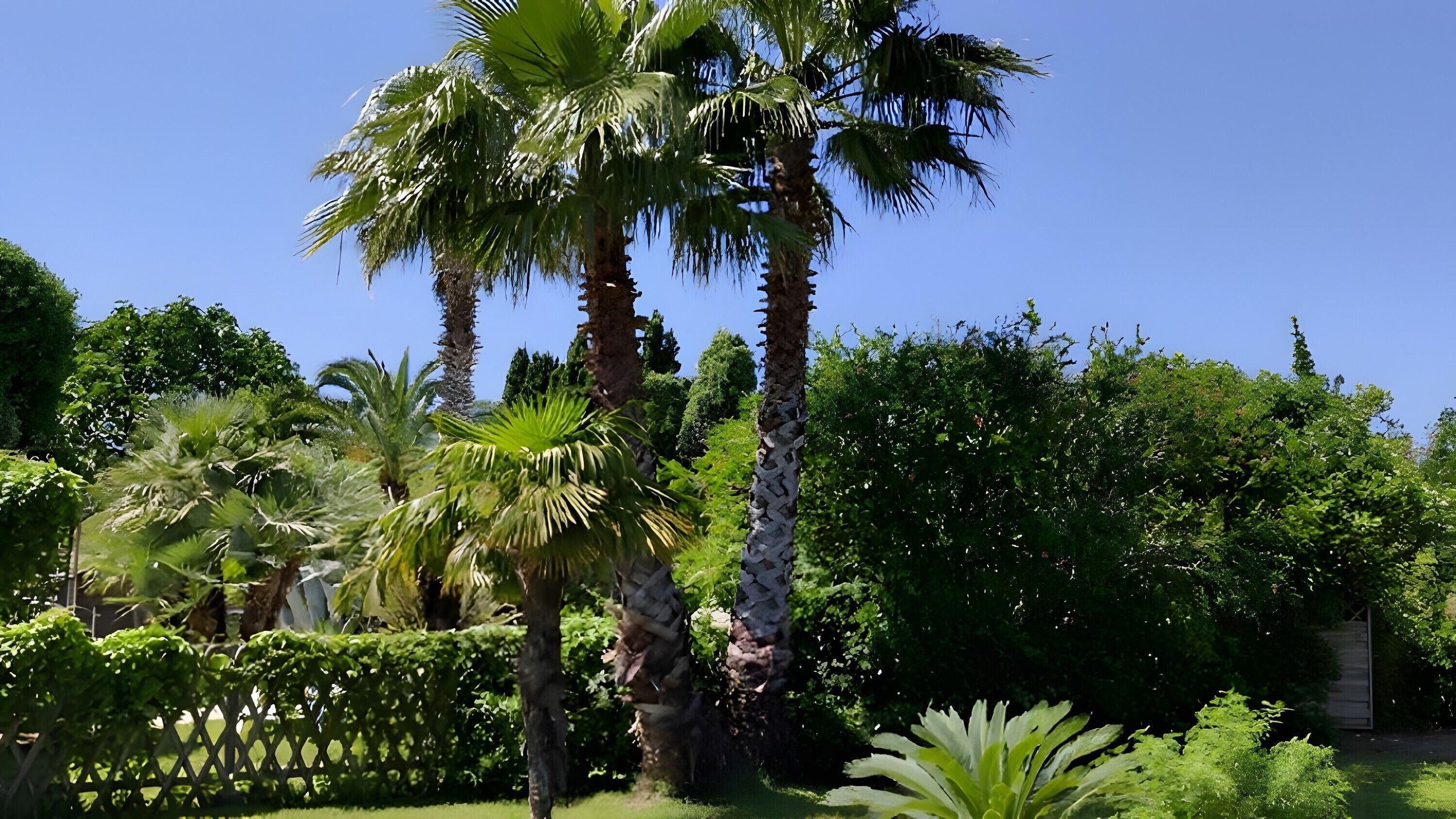 Terrein van de accommodatie