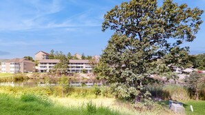Un bâtiment à étages, un étang et un grand arbre au premier plan.