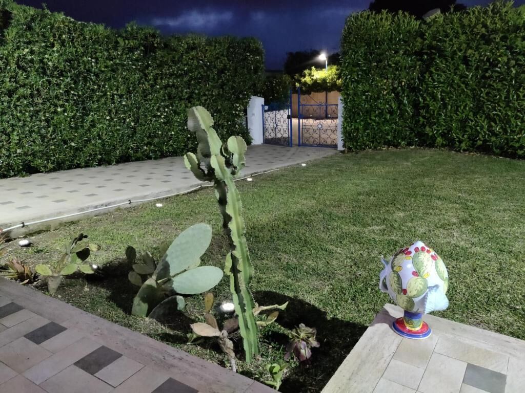 Un jardín con un cactus, una escultura decorativa y una entrada con puerta de acceso.