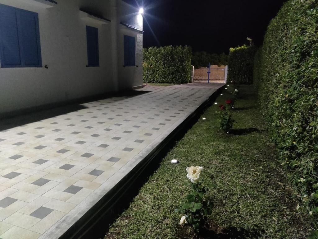 Un sendero pavimentado que conduce a un edificio con ventanas azules, rodeado de setos cuidados y una sola flor blanca.