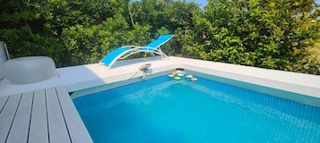 Una piscina con un elemento acuático azul, rodeada de abundante vegetación.