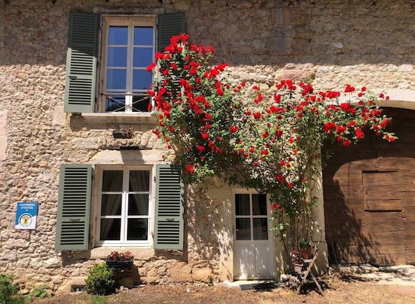 Detalle exterior