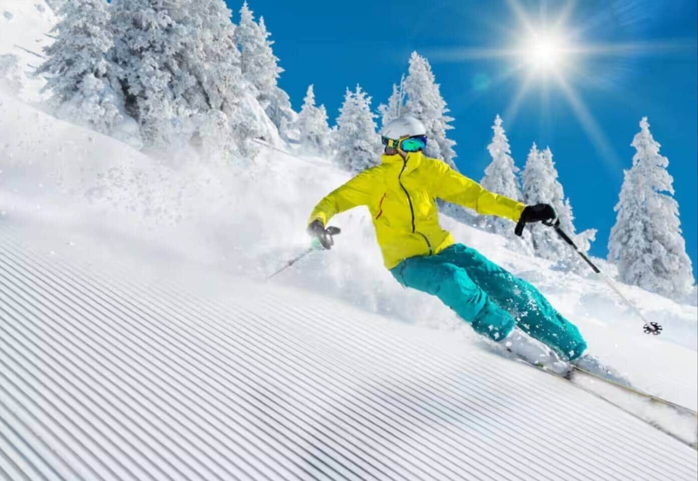 Une personne fait du ski sur une pente enneigée, avec des arbres en arrière-plan.
