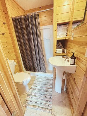 Shower, hair dryer, towels - Hessel Bay Cabin #5:  Lake Huron waterfront cabin sleeps 4.  Boat slip available! (Hessel)