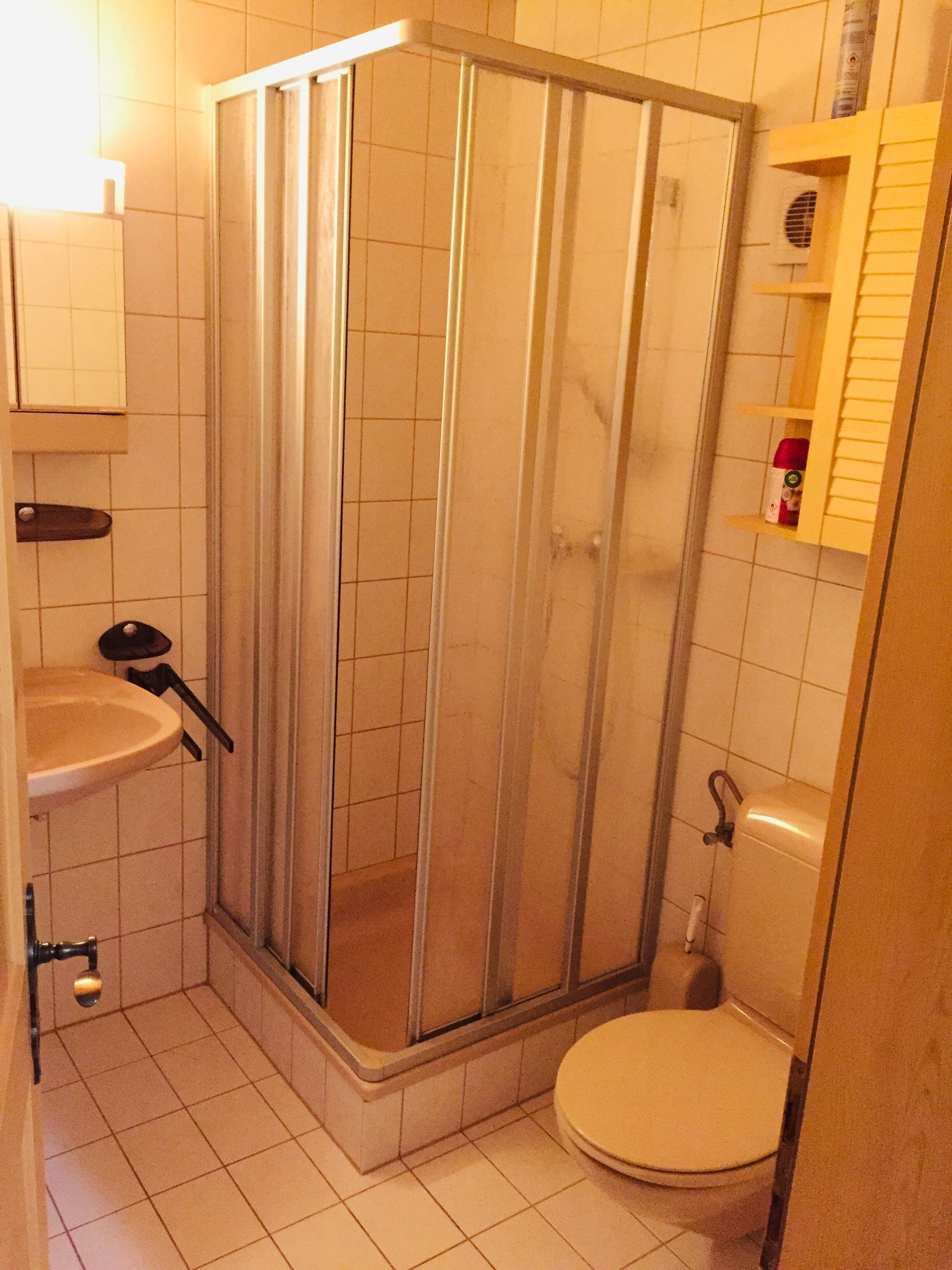 Shower, hair dryer, towels, toilet paper