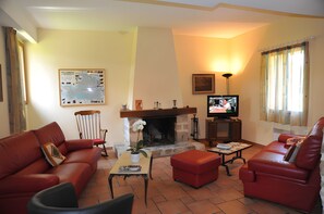Fernseher, Kamin