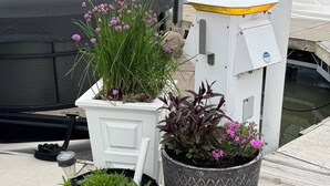 A dock with boats, a white structure, and potted plants.