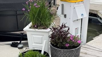 Enceinte de lâhĂ©bergement