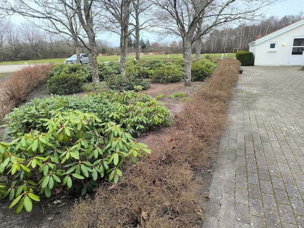 A paved driveway leading to a building with a white exterior, surrounded by well-maintained shrubbery and trees. - Læsø Efterskole (Læsø)