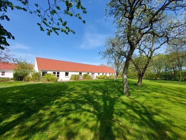 Læsø Efterskole - Båstad