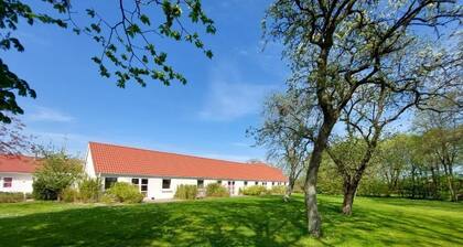 Læsø Efterskole