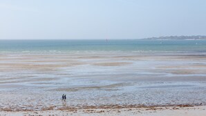 Une plage avec un rivage sablonneux et un voilier qui se trouve au loin.