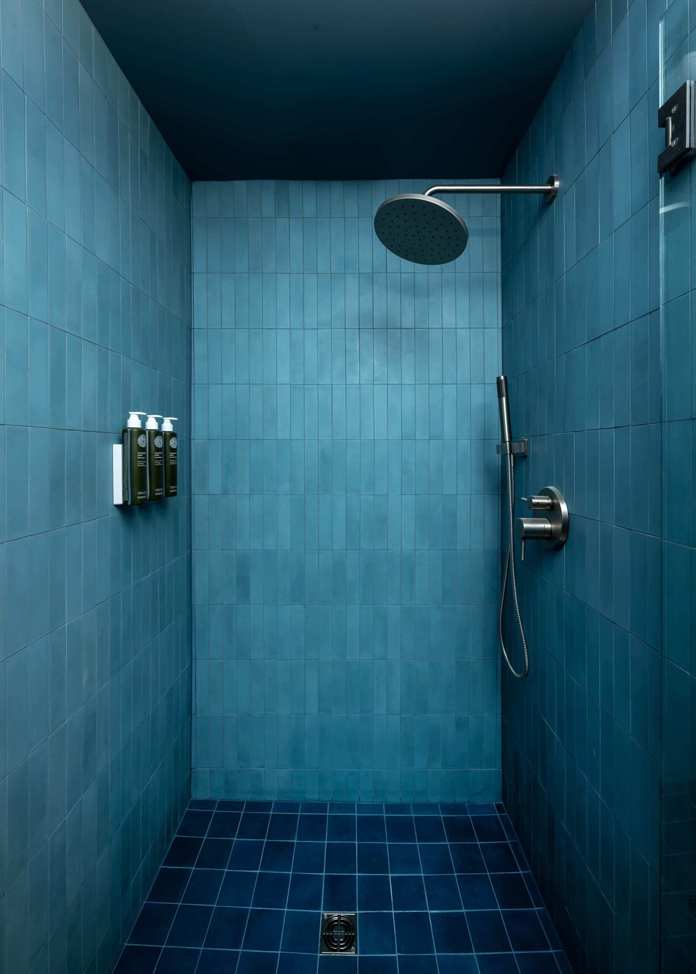Shower, hair dryer, towels, shampoo