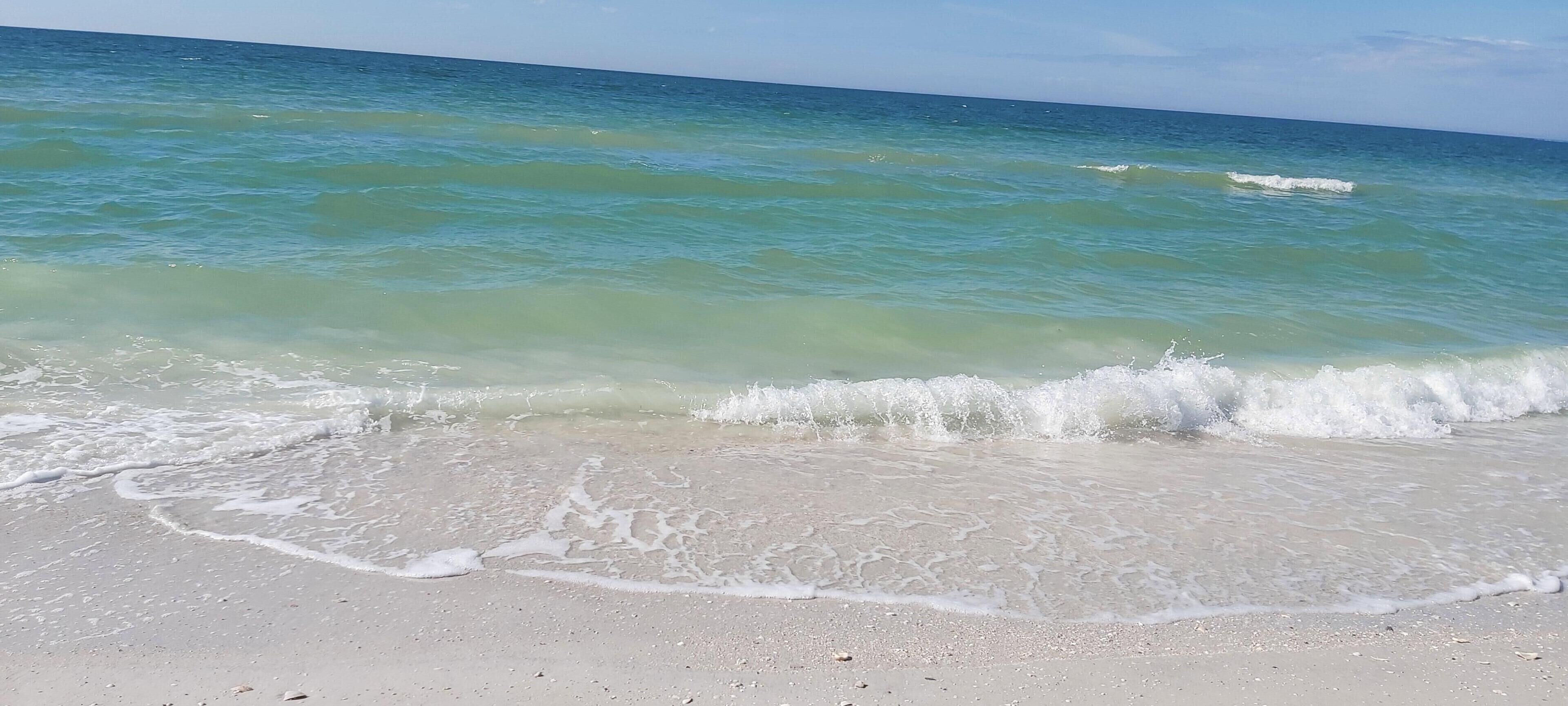Condo, 1 King Bed with Sofa bed (Barefoot Beach Resort E206 - Liquid O) | Beach