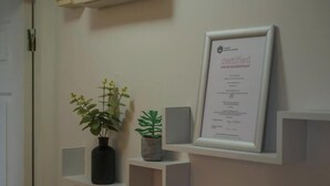 Ein gerahmtes Dokument an der Wand, ein Blumentopf und ein Regal mit einer Vase.