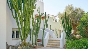 Un edificio moderno con fachada blanca, una escalera que conduce a la entrada y varios cactus en primer plano.