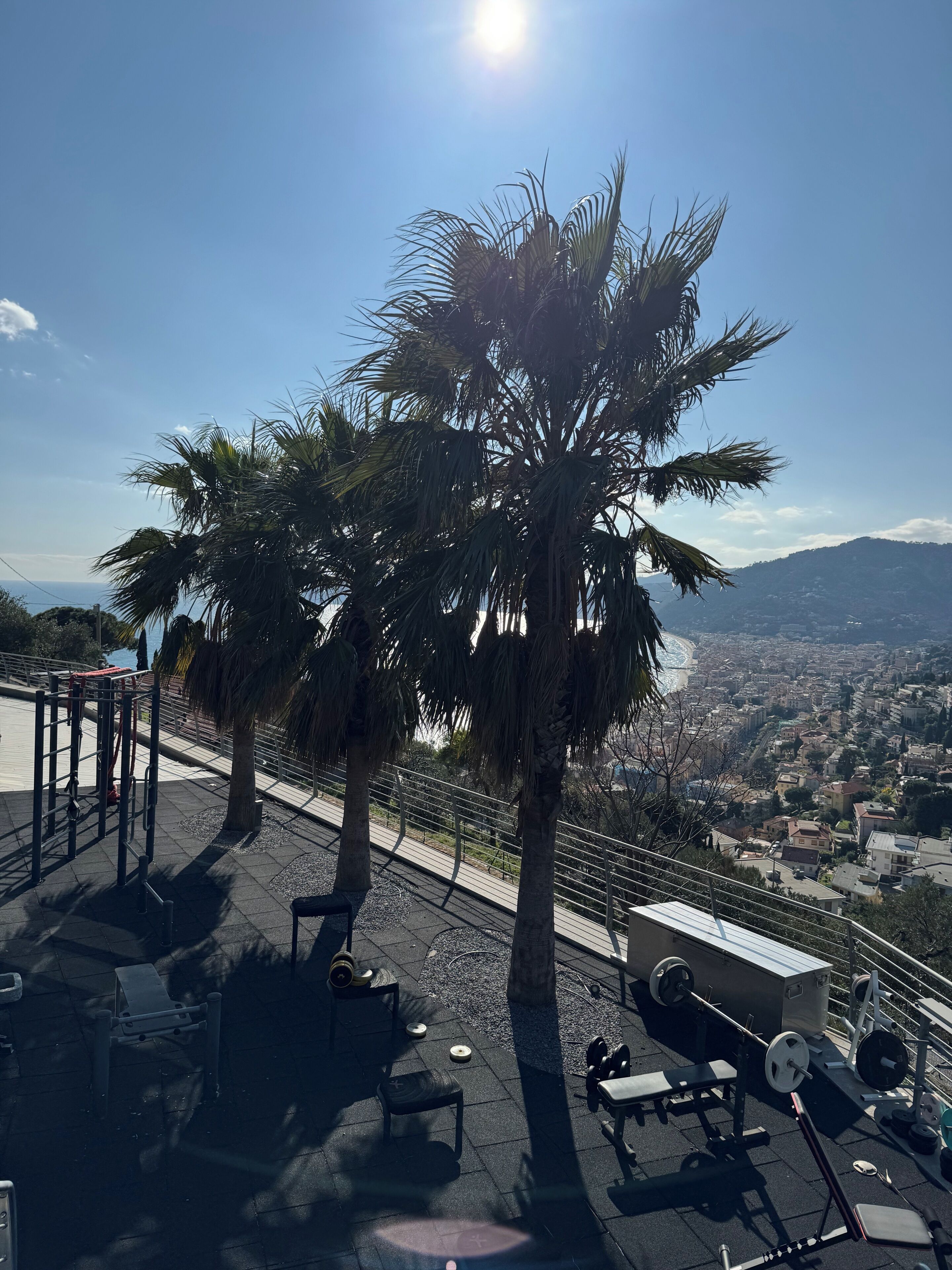 Une terrasse sur le toit équipée d’appareils de musculation en plein air, avec un palmier et une vue sur le paysage urbain de la côte.
