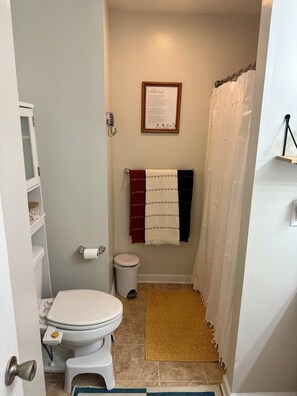 Bathroom - Nice 3-bedroom house in charming Aiken (Aiken)