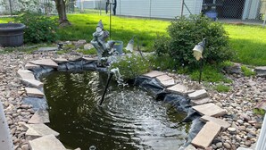 A garden pond with a small waterfall, surrounded by a stone border, and a grassy area with a fence in the background. - Blue Door Cottage on Webster (Hastings)