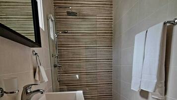 Shower, towels, soap, toilet paper