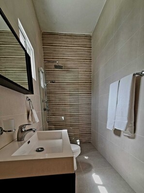 Shower, towels, soap, toilet paper