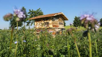 A rustic wooden cabin in a field with a clear sky.