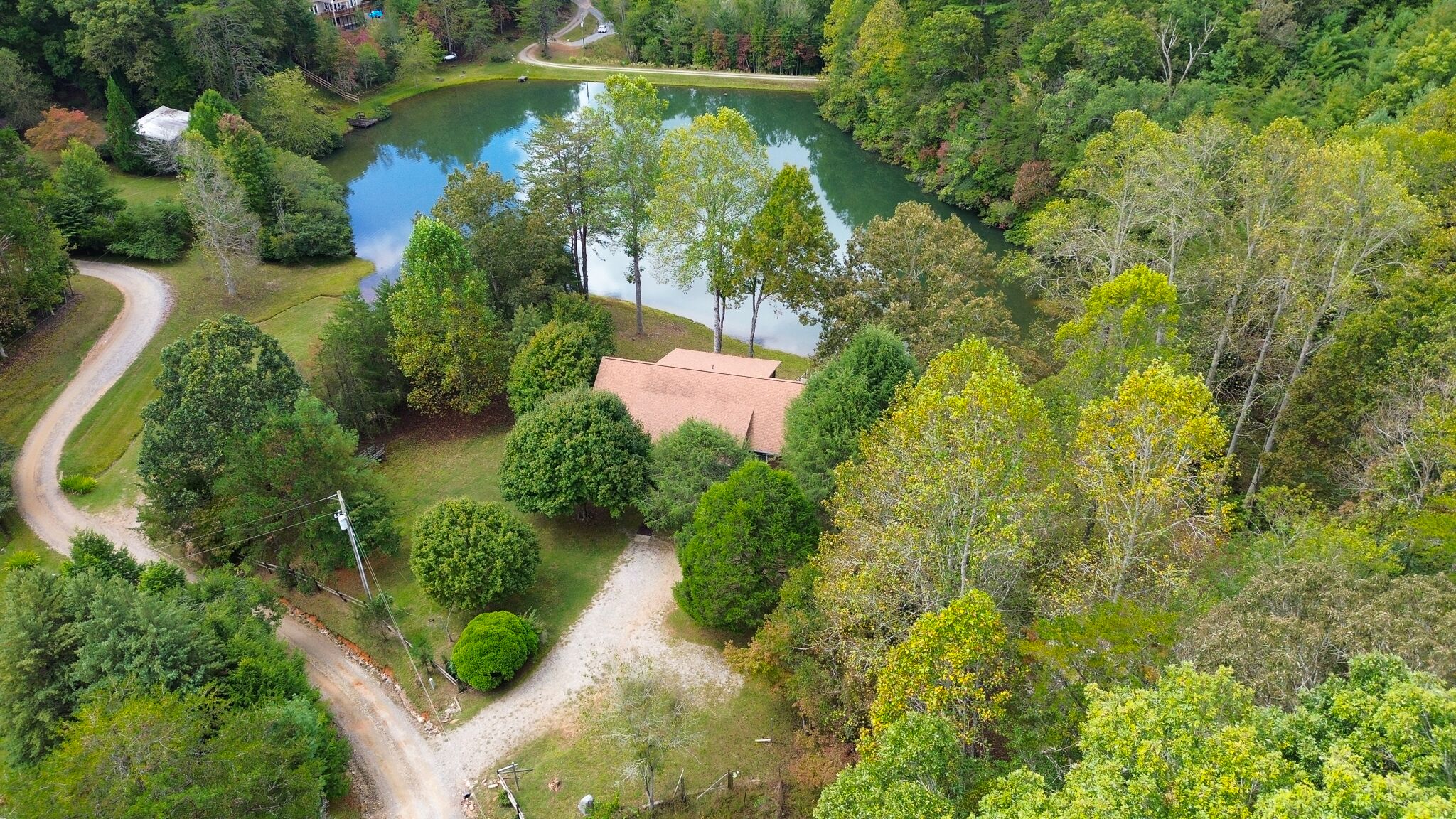 A secluded house surrounded by dense forest, a pond, and a winding path.