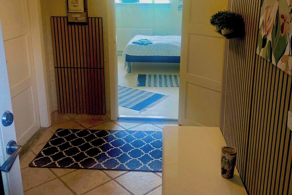 Fælles sovesal - 1 soveværelse - terrasse