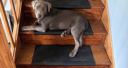 Peaceful 3-bedroom farmhouse in charming Friendsville with AC and outdoor space