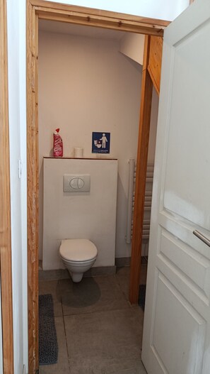 Shower, hair dryer, towels, soap - Country house with fireplace, right next to trails. Pets welcome! (Mégrit)