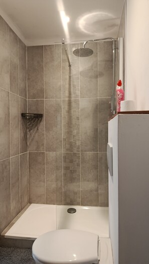 Shower, hair dryer, towels, soap - Country house with fireplace, right next to trails. Pets welcome! (Mégrit)