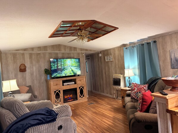 Smart TV, libros y videoteca 