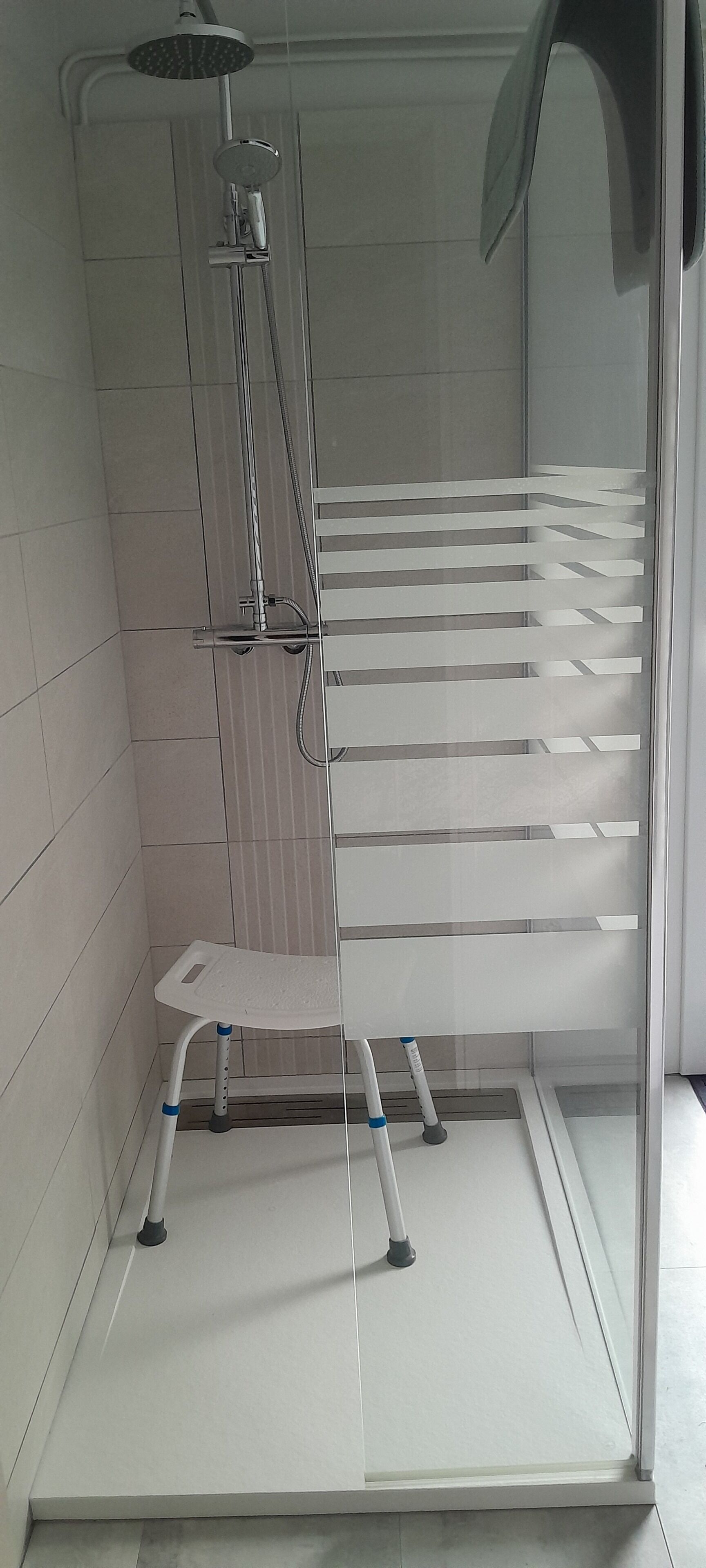 Shower, hair dryer
