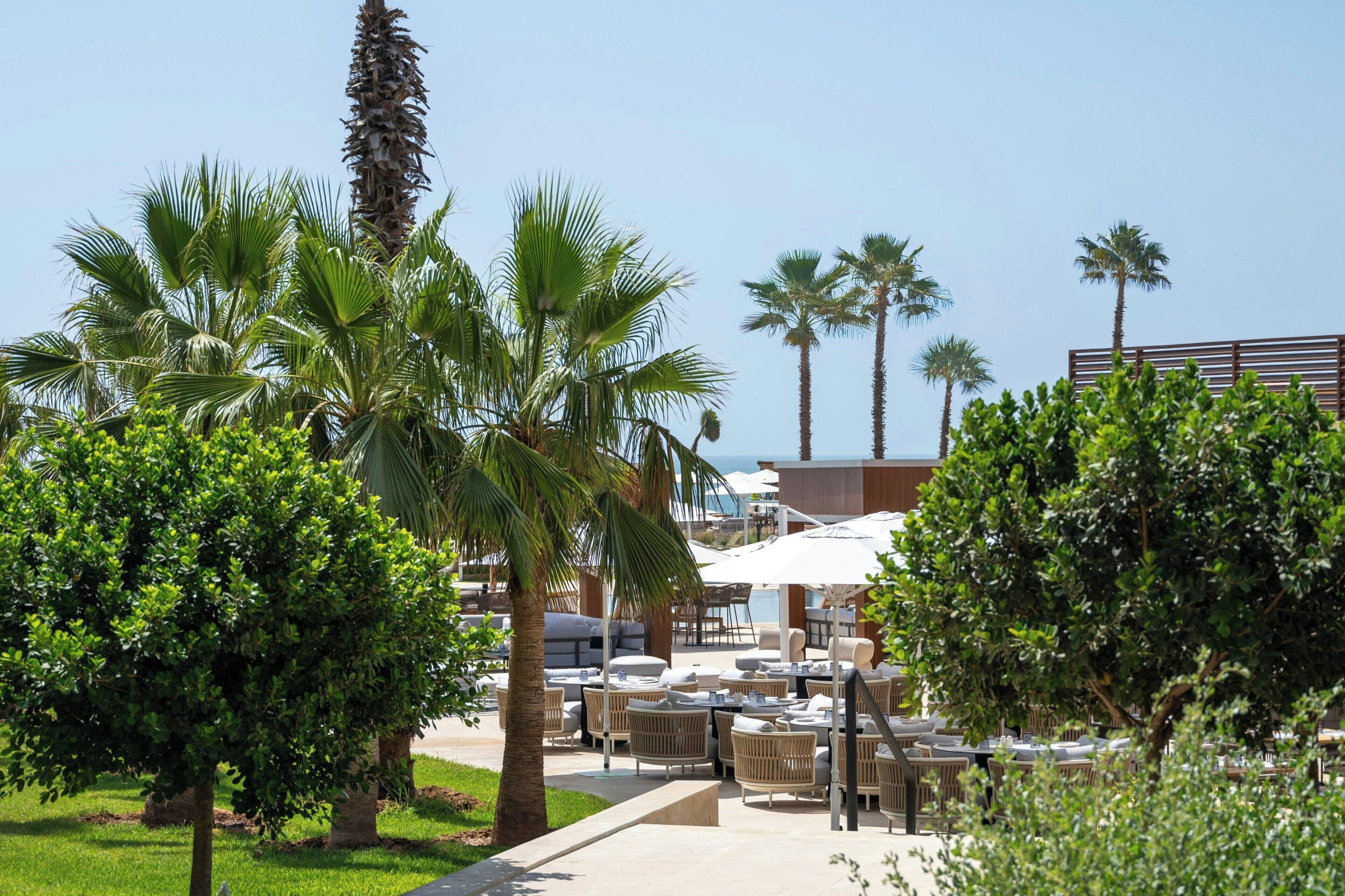 A resort with outdoor seating, palm trees, and a view of the ocean.